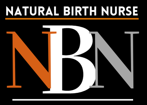 The Natural Birth Nurse